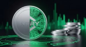 #엔트리파워사다리[코인사다리] 보안 시스템: 2단계 인증과 암호화 기술로 보호하는 개인정보 관리법